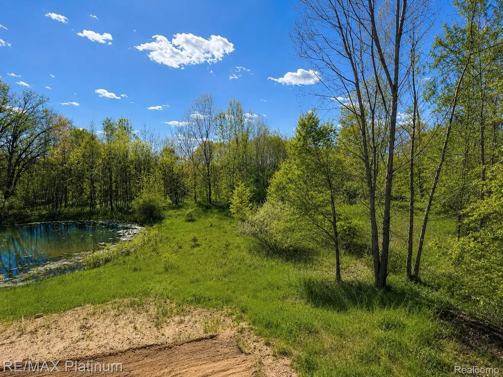 2233 Knotty Pine Trail Howell Township MI 48855
