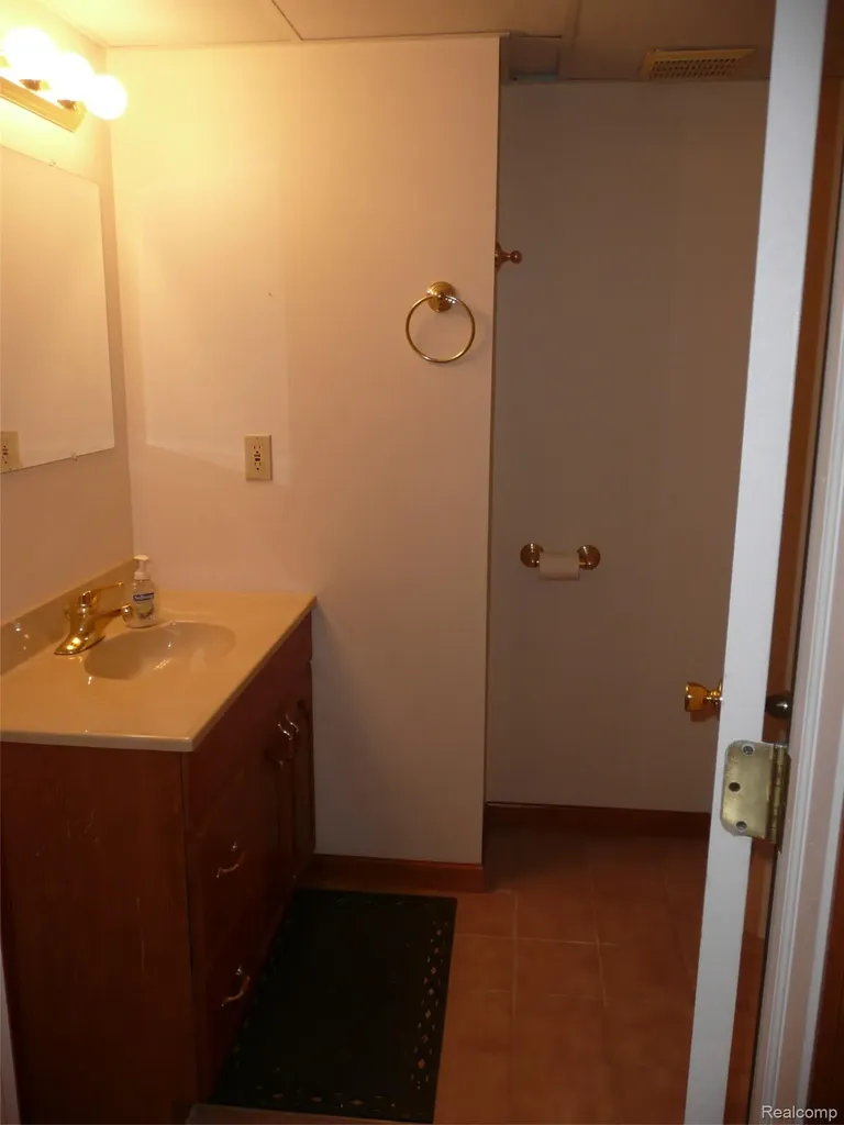 2388 Ava Oceola Township MI 48843