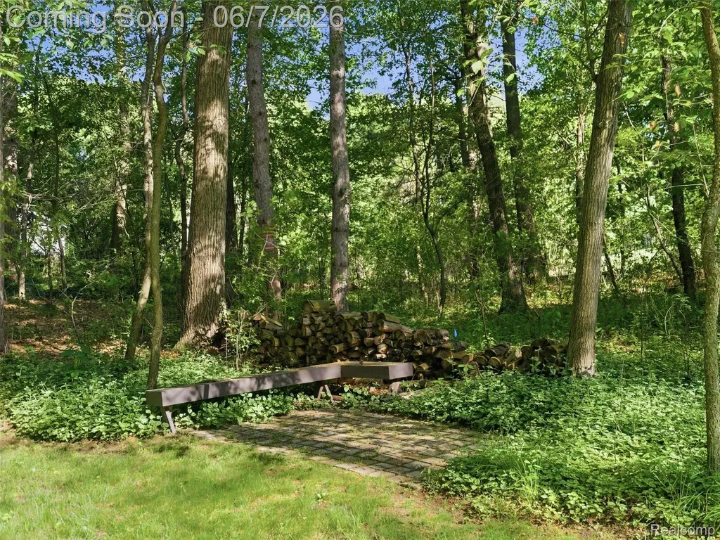 202 Nakomis Trail Orion Charter Township MI 48362