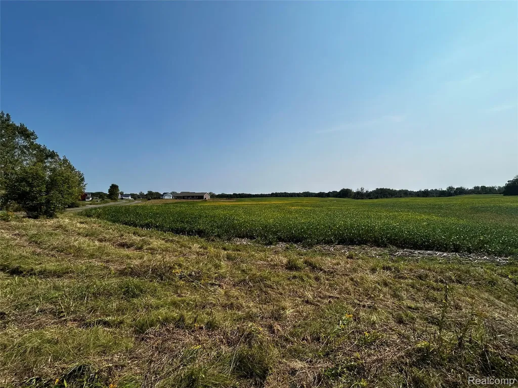 Parcel N N Hacker Road Hartland Township MI 48843