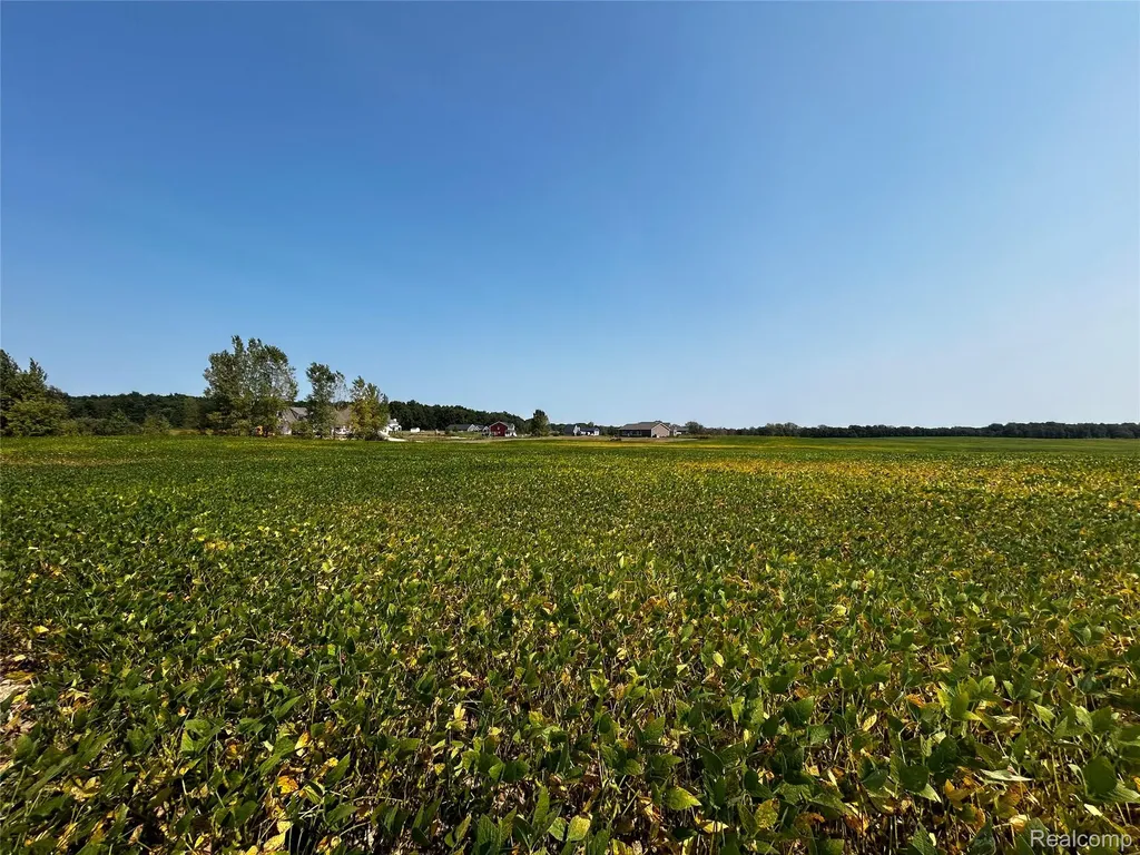 Parcel N N Hacker Road Hartland Township MI 48843
