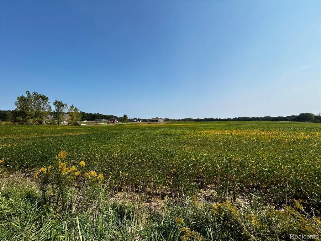 Parcel N N Hacker Road Hartland Township MI 48843