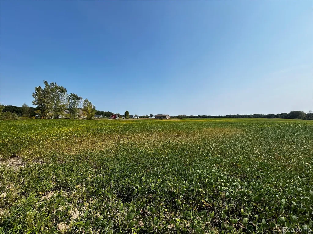Parcel N N Hacker Road Hartland Township MI 48843