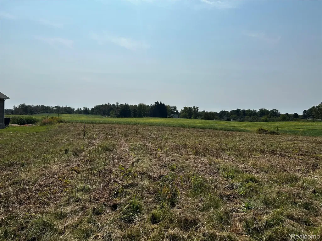 Parcel N N Hacker Road Hartland Township MI 48843