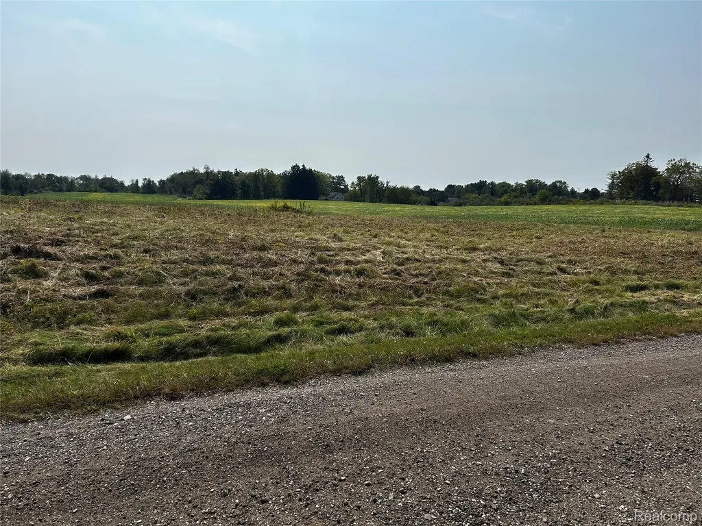 Parcel N N Hacker Road Hartland Township MI 48843