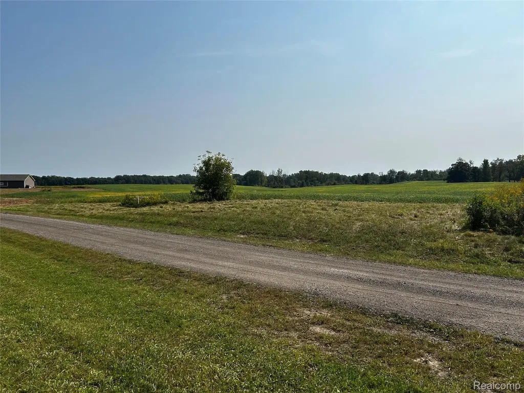 Parcel N N Hacker Road Hartland Township MI 48843