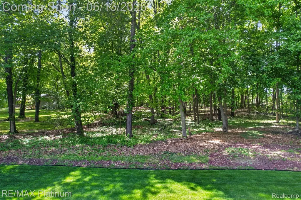 5060 Yax Pointe Drive Marion Township MI 48843