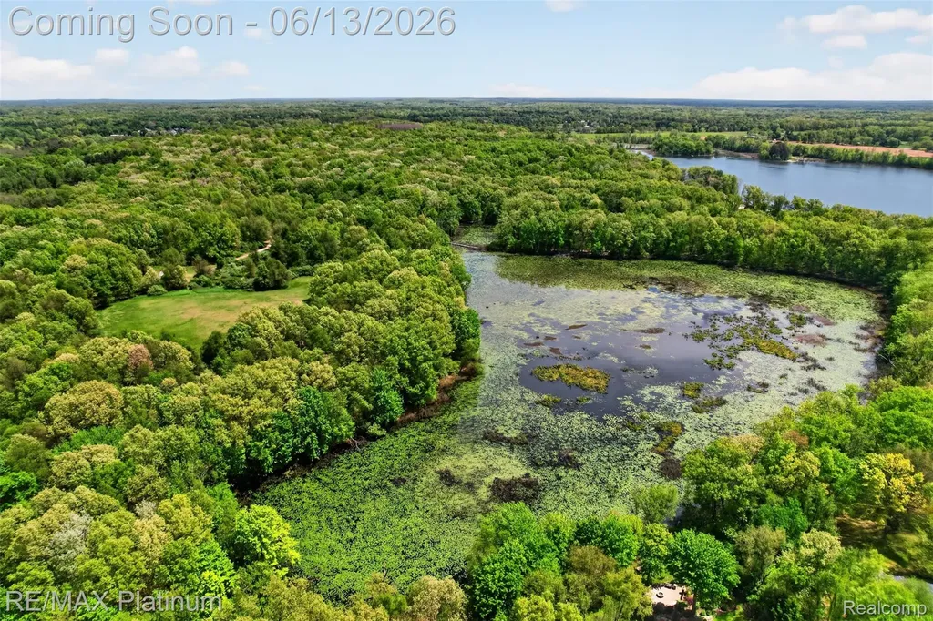 5060 Yax Pointe Drive Marion Township MI 48843
