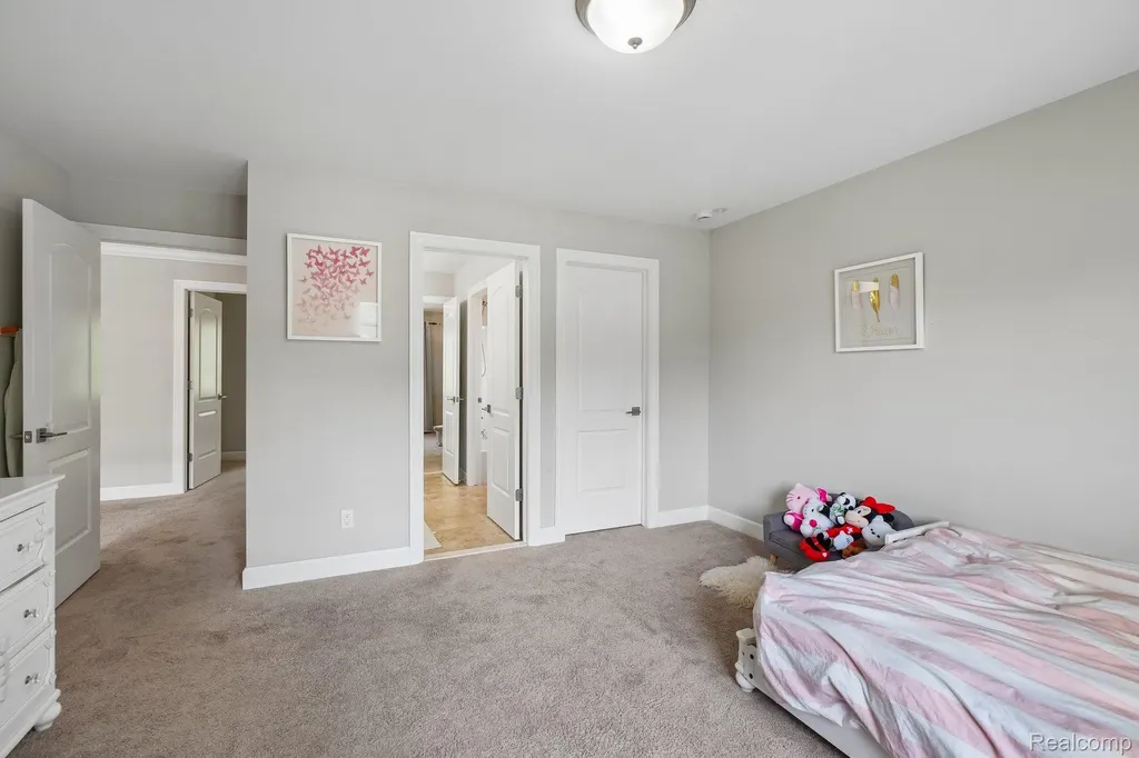 47566 Alpine Drive Novi City MI 48374
