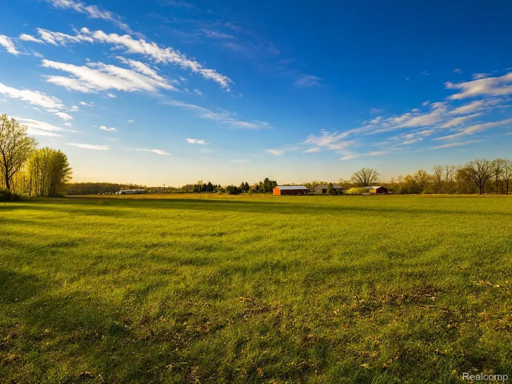 15184 Dudley Road Lynn Township MI 48416