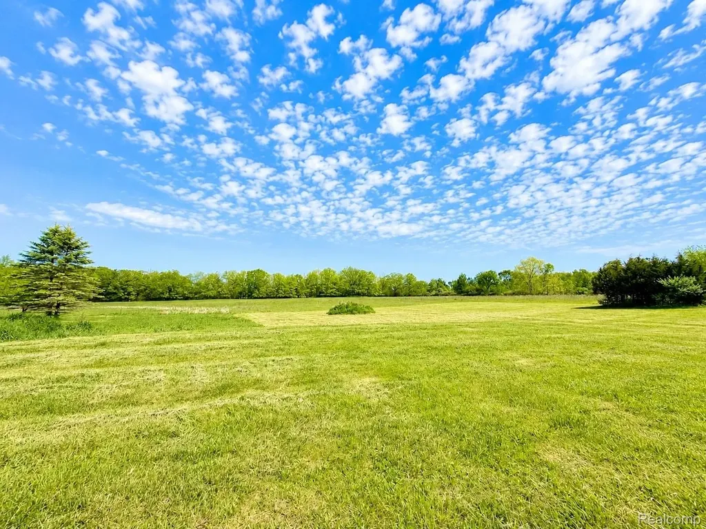 15184 Dudley Road Lynn Township MI 48416