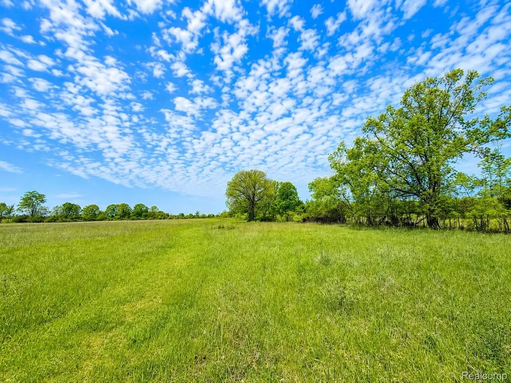 15184 Dudley Road Lynn Township MI 48416
