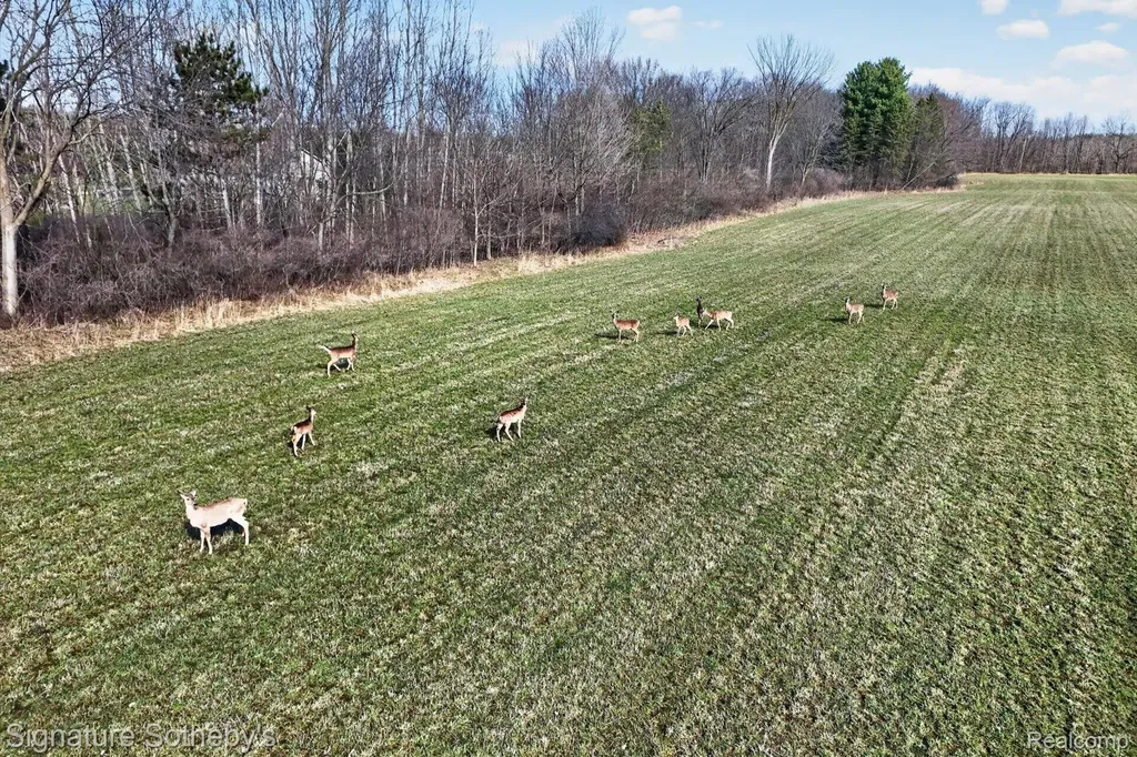 00 Brigham Road Hadley Township MI 48438