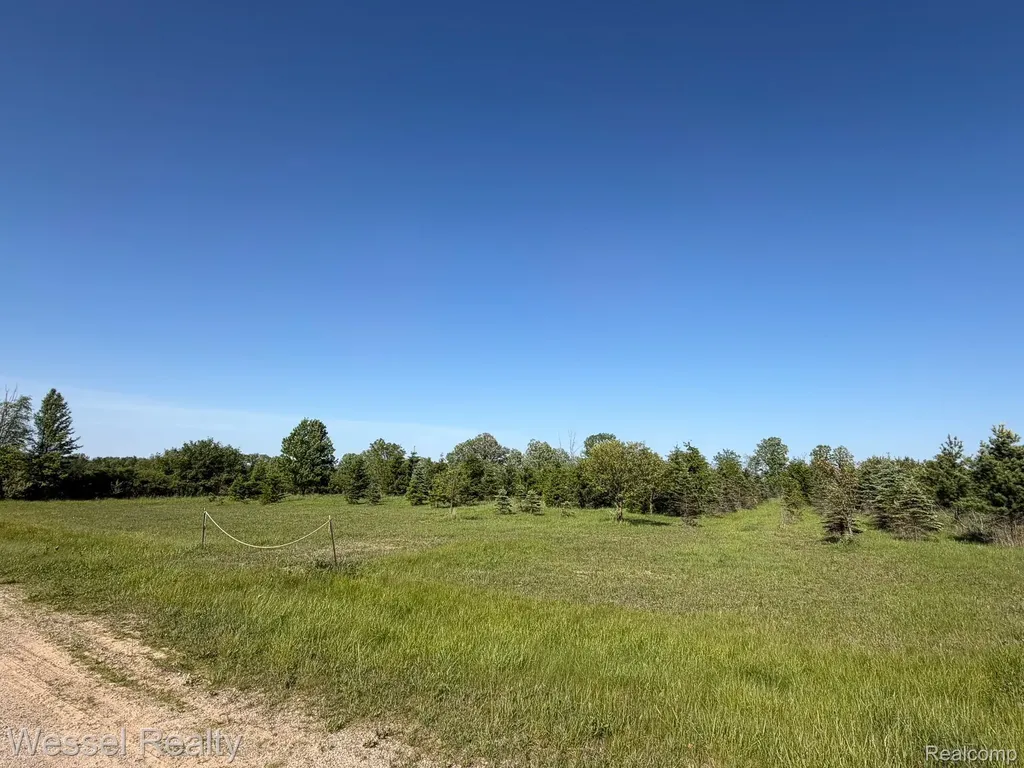0 Windmill Lane Imlay Township MI 48444