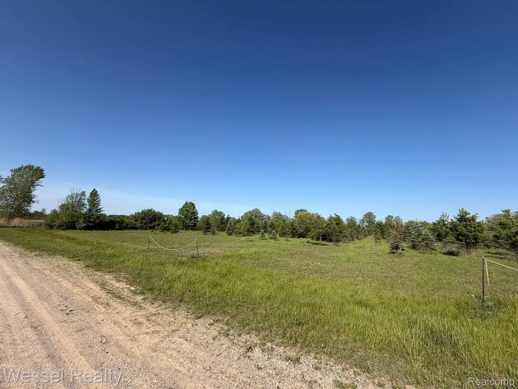 0 Windmill Lane Imlay Township MI 48444
