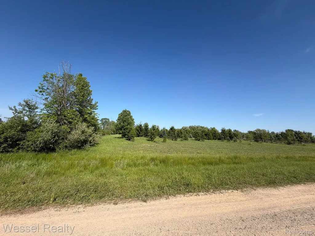 0 Windmill Lane Imlay Township MI 48444