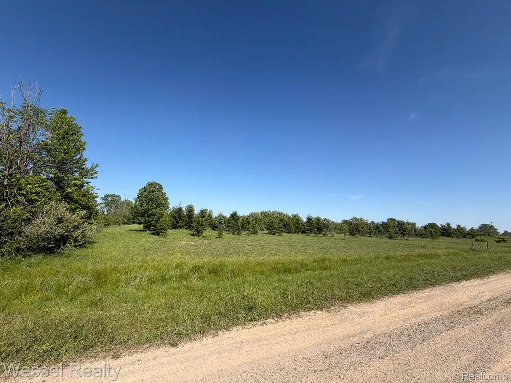0 Windmill Lane Imlay Township MI 48444