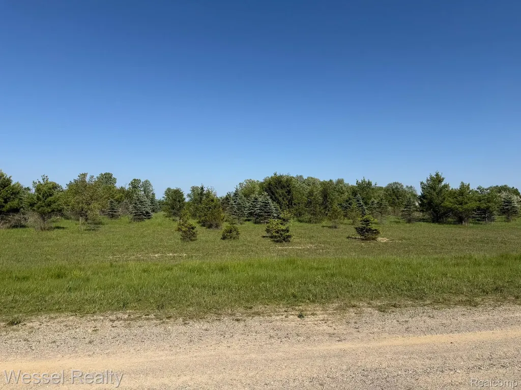 00 Windmill Lane Imlay Township MI 48444