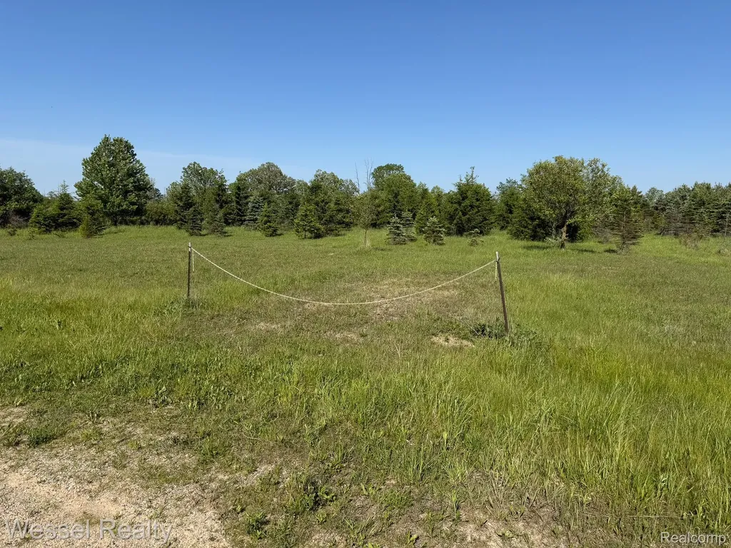 00 Windmill Lane Imlay Township MI 48444