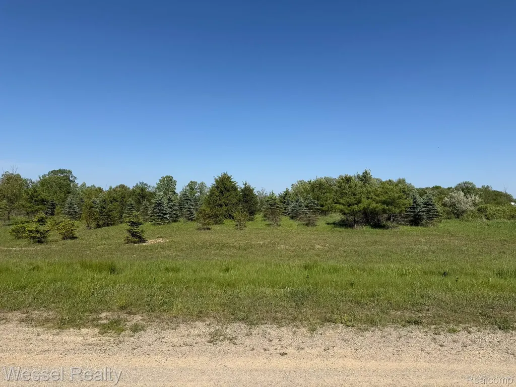 00 Windmill Lane Imlay Township MI 48444