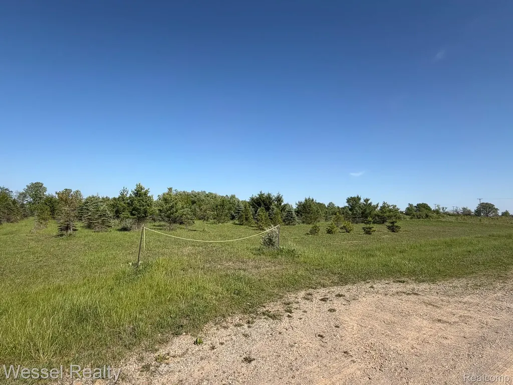 00 Windmill Lane Imlay Township MI 48444