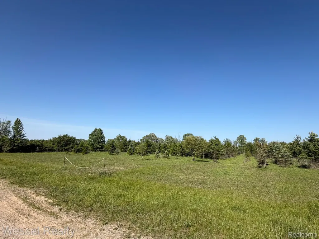 00 Windmill Lane Imlay Township MI 48444