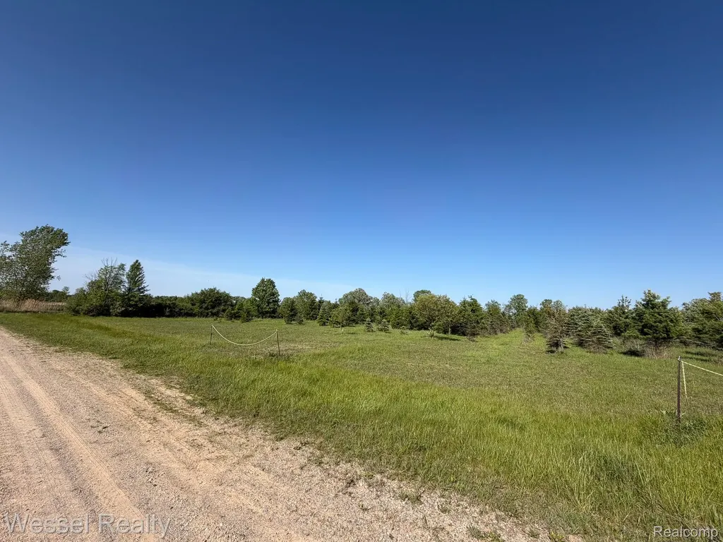 00 Windmill Lane Imlay Township MI 48444