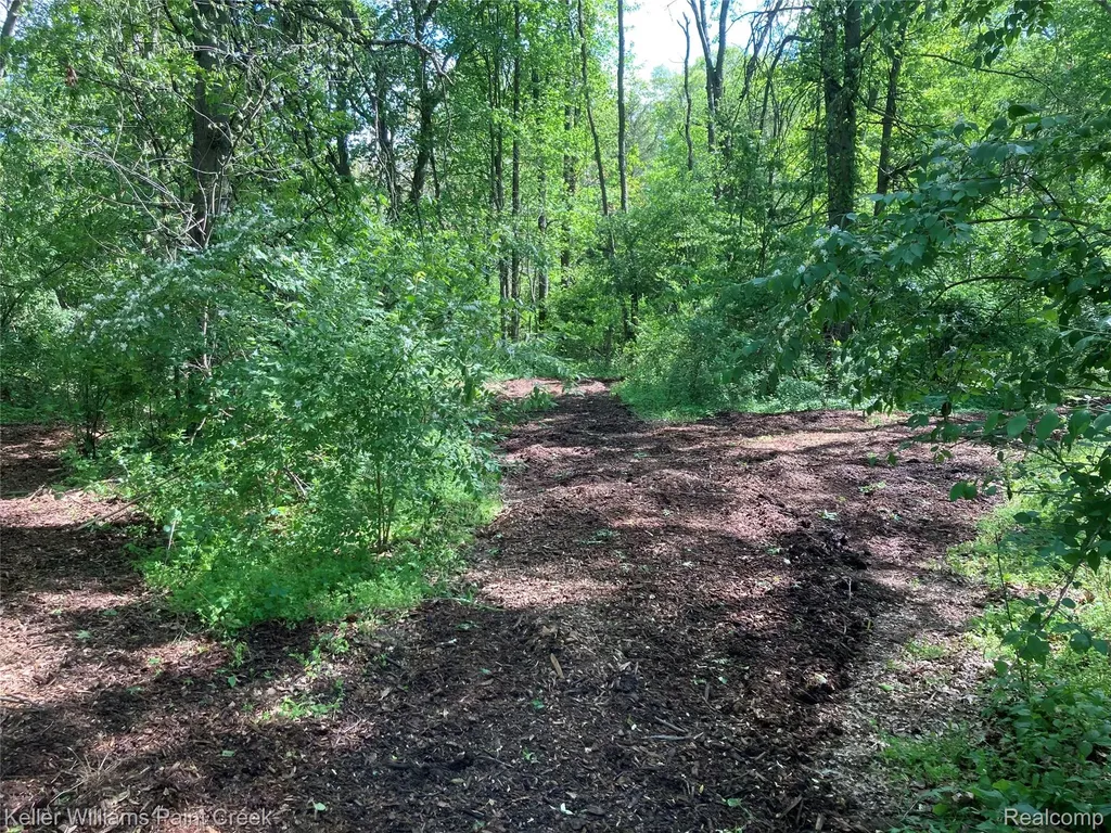 42891 Bemis Road Sumpter Township MI 48111