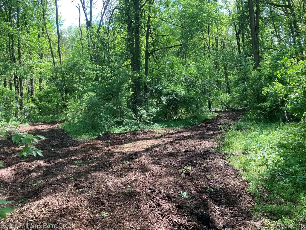 42891 Bemis Road Sumpter Township MI 48111
