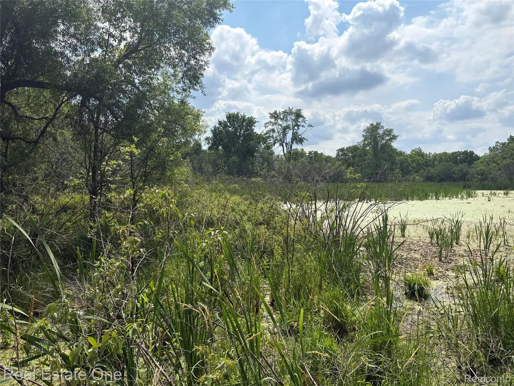 2983 N Harris Road Superior Charter Township MI 48198