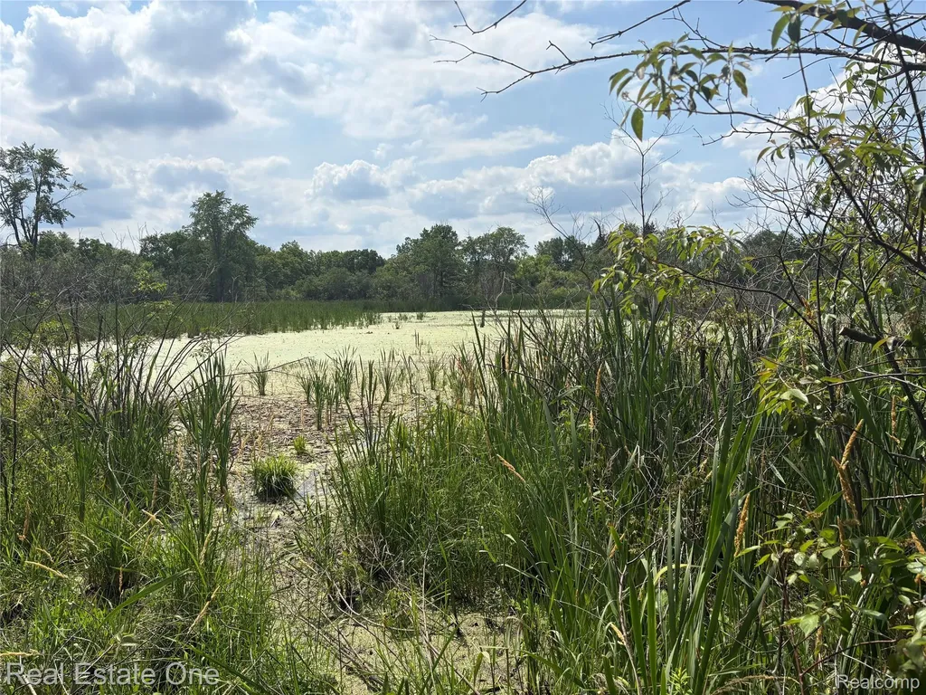 2983 N Harris Road Superior Charter Township MI 48198