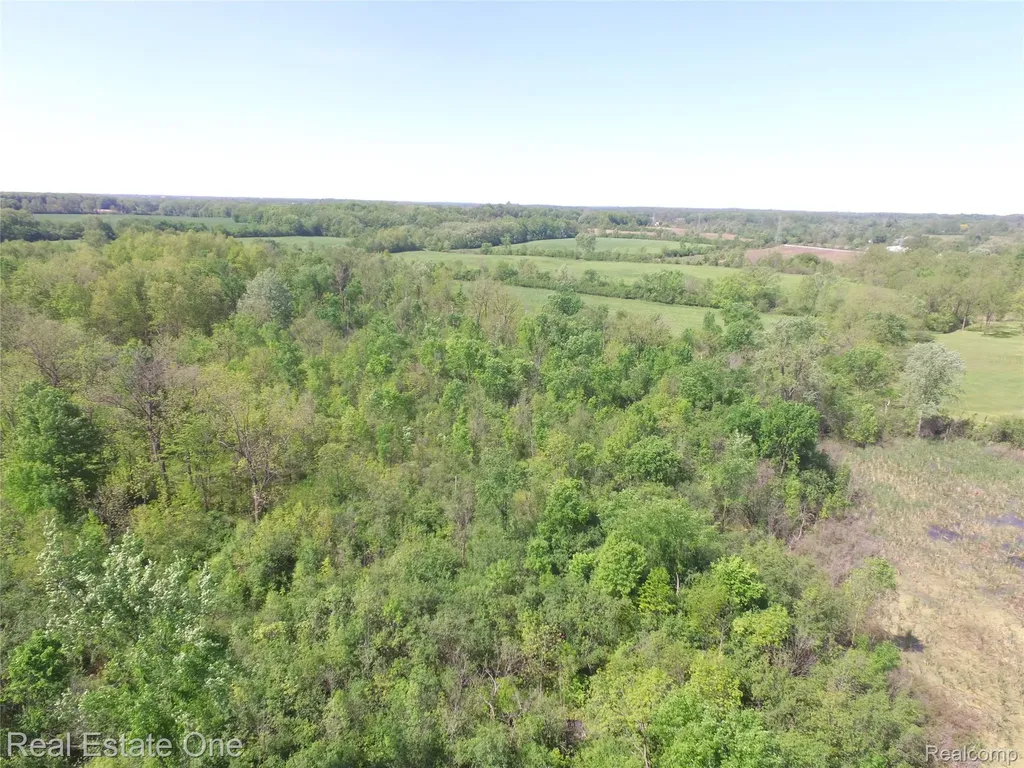 2983 N Harris Road Superior Charter Township MI 48198