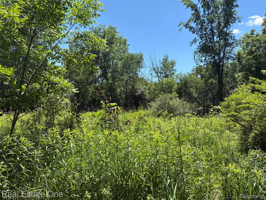 2983 N Harris Road Superior Charter Township MI 48198