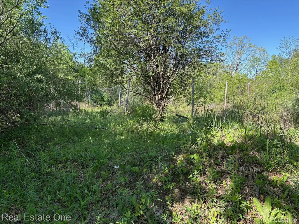 2983 N Harris Road Superior Charter Township MI 48198