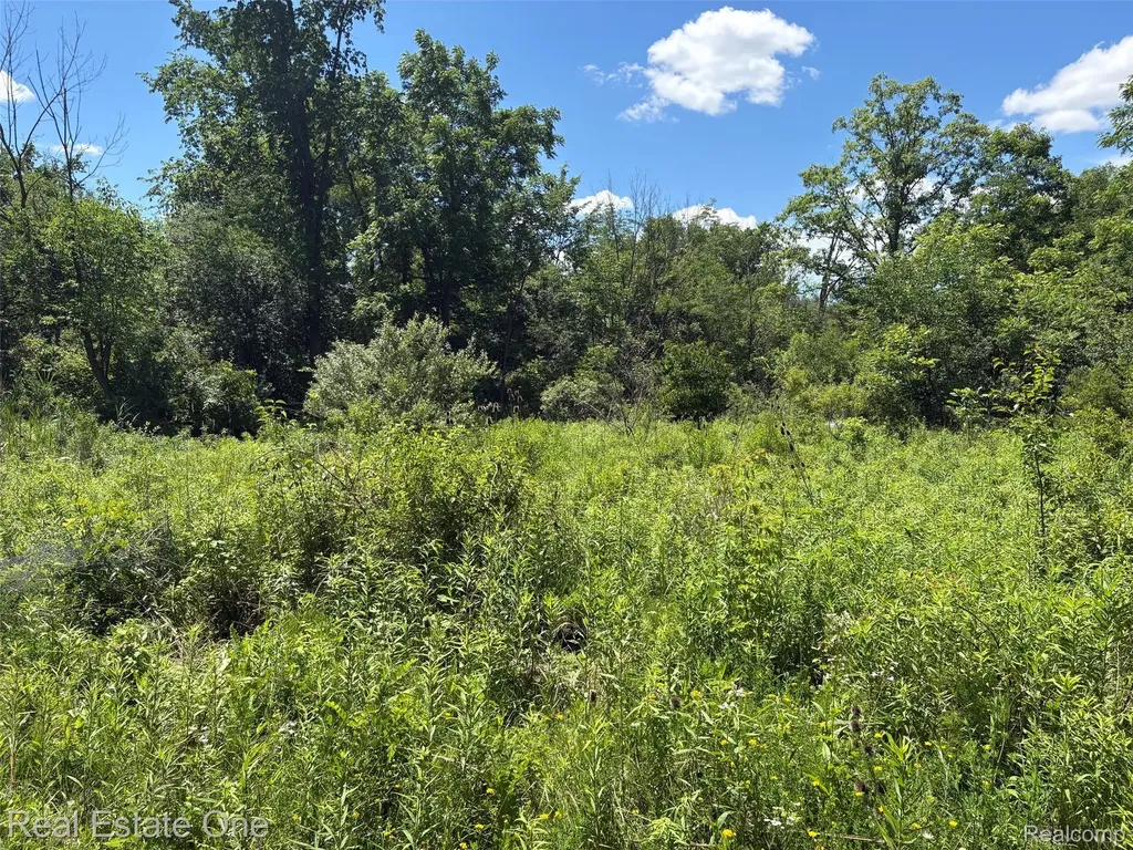 2983 N Harris Road Superior Charter Township MI 48198