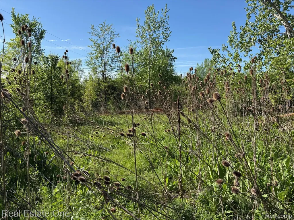 2983 N Harris Road Superior Charter Township MI 48198