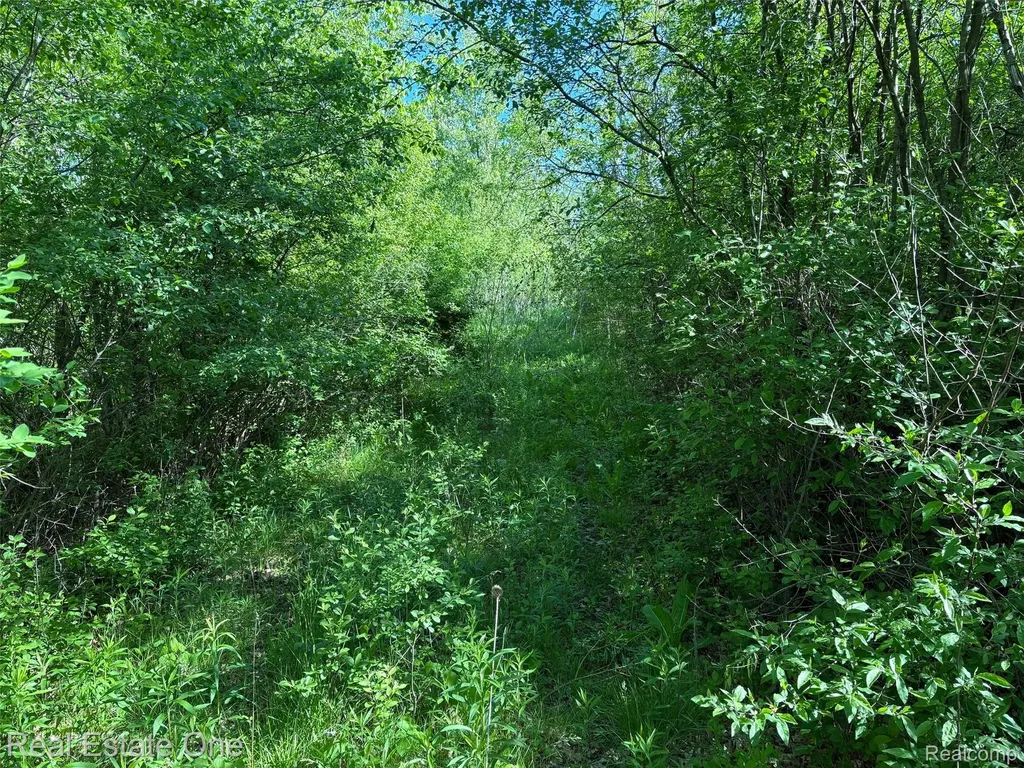 2983 N Harris Road Superior Charter Township MI 48198