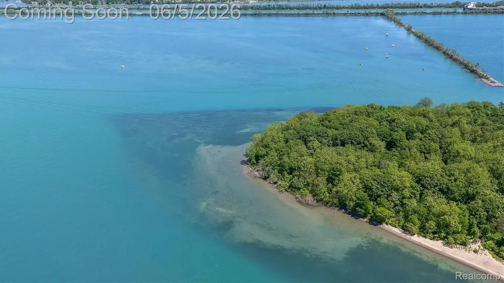 28195 Elba Drive Grosse Ile Township MI 48138