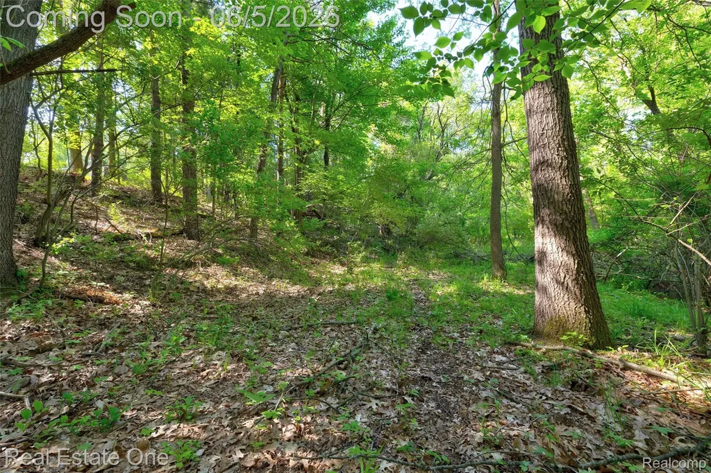 709 Bald Eagle Lake Road Brandon Charter Township MI 48462