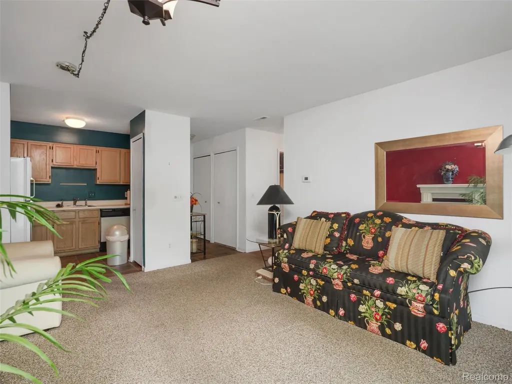 1127 S Lake Drive Novi City MI 48377