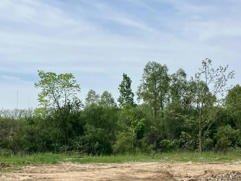 1873 Elizabeth Lane Superior Charter Township MI 48198