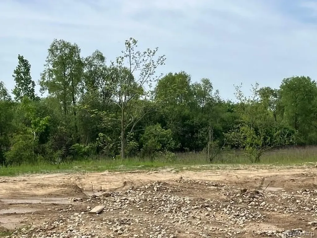 1873 Elizabeth Lane Superior Charter Township MI 48198