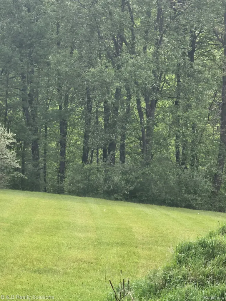 Unit 12 Sheryl Court Mayfield Township MI 48446