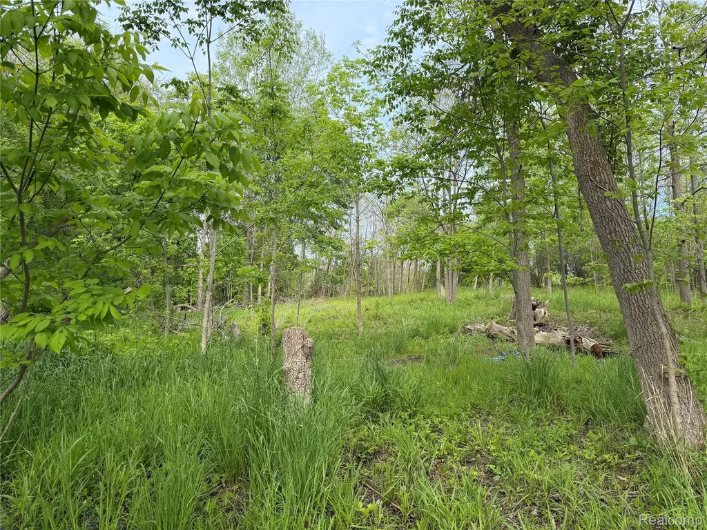 9200 Perry Road Atlas Township MI 48411