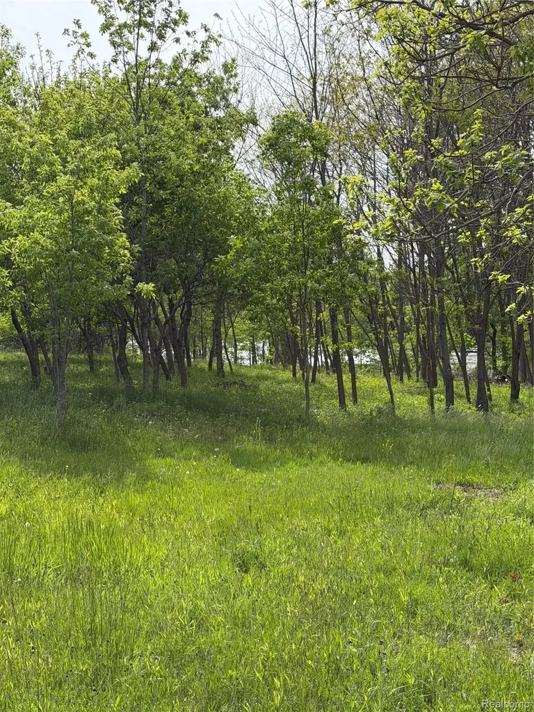 9200 Perry Road Atlas Township MI 48411
