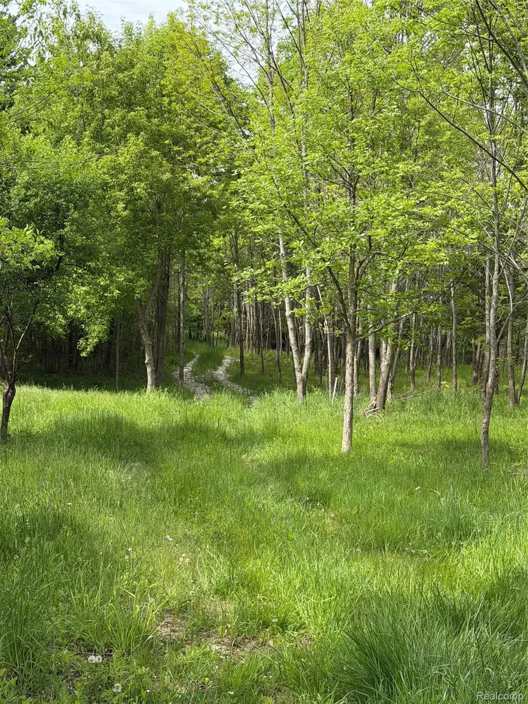 9200 Perry Road Atlas Township MI 48411