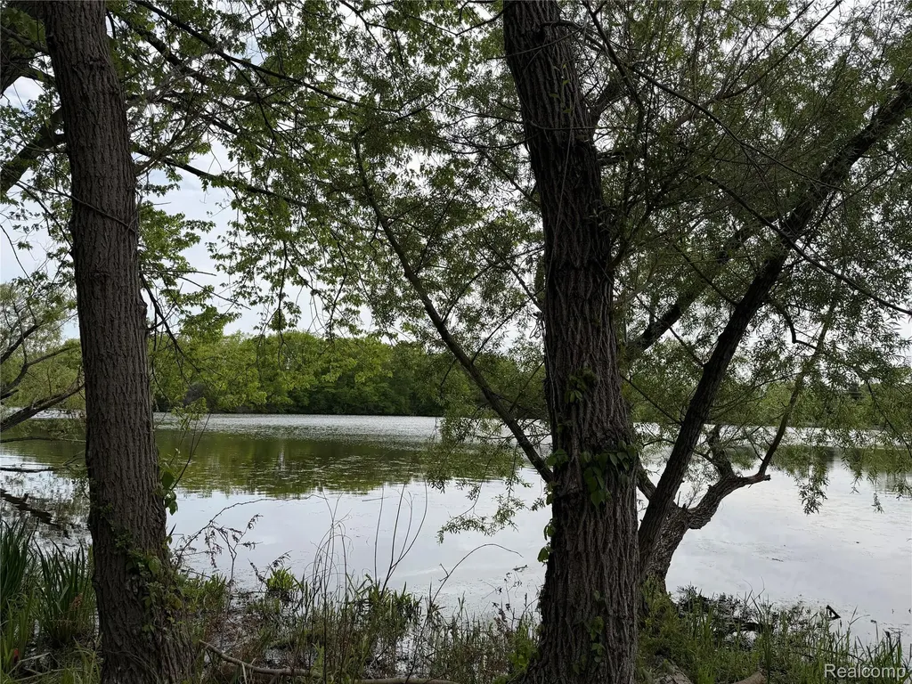9200 Perry Road Atlas Township MI 48411