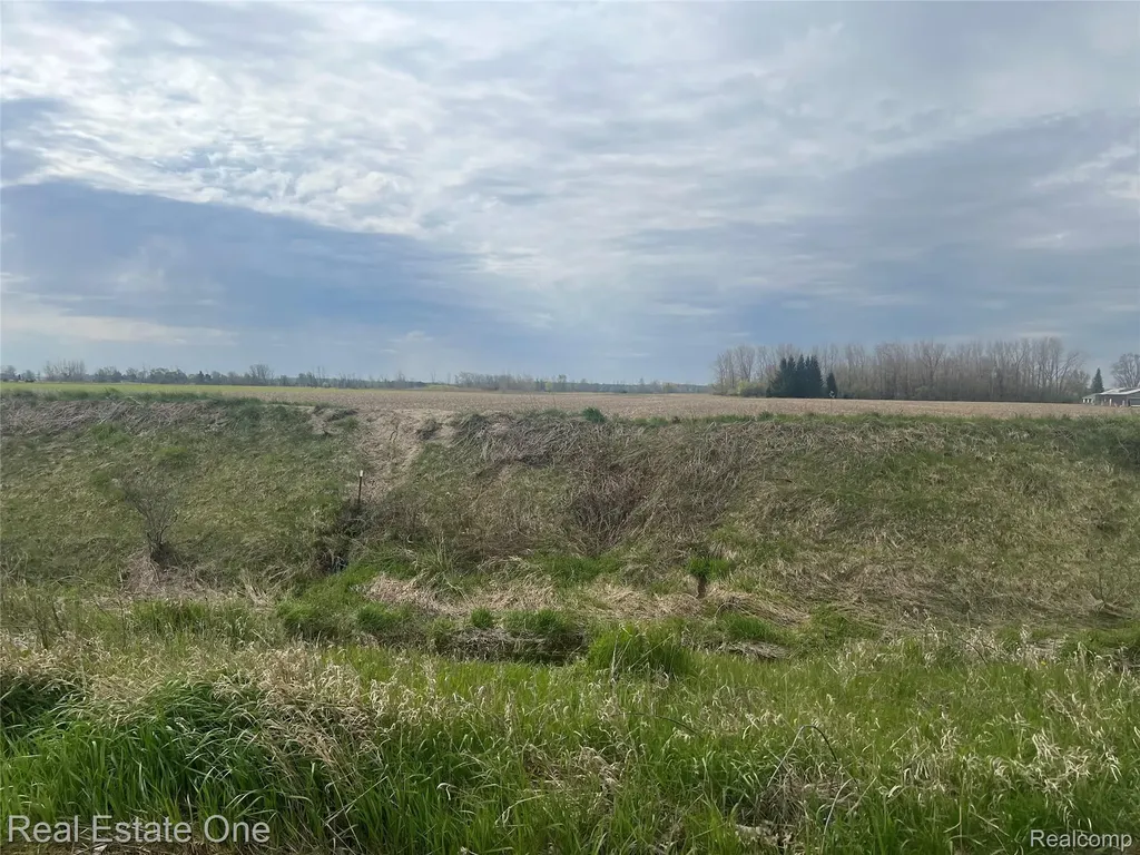1723 S Van Dyke Road Colfax Township MI 48413