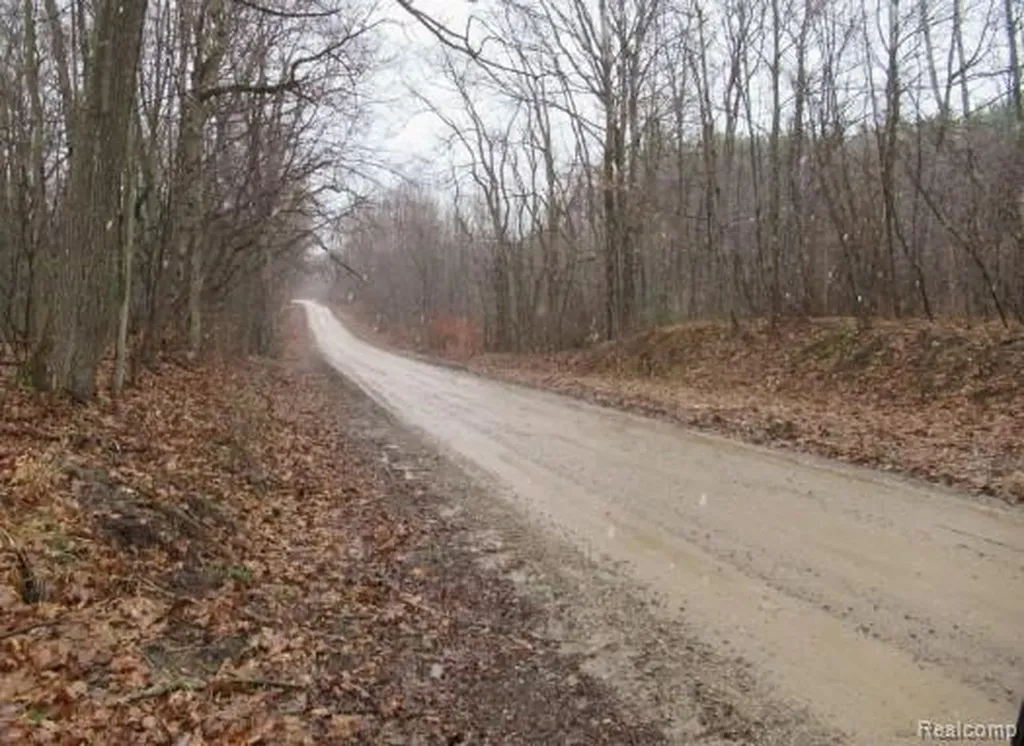 14510 Washburn Road Otter Lake Village MI 48464