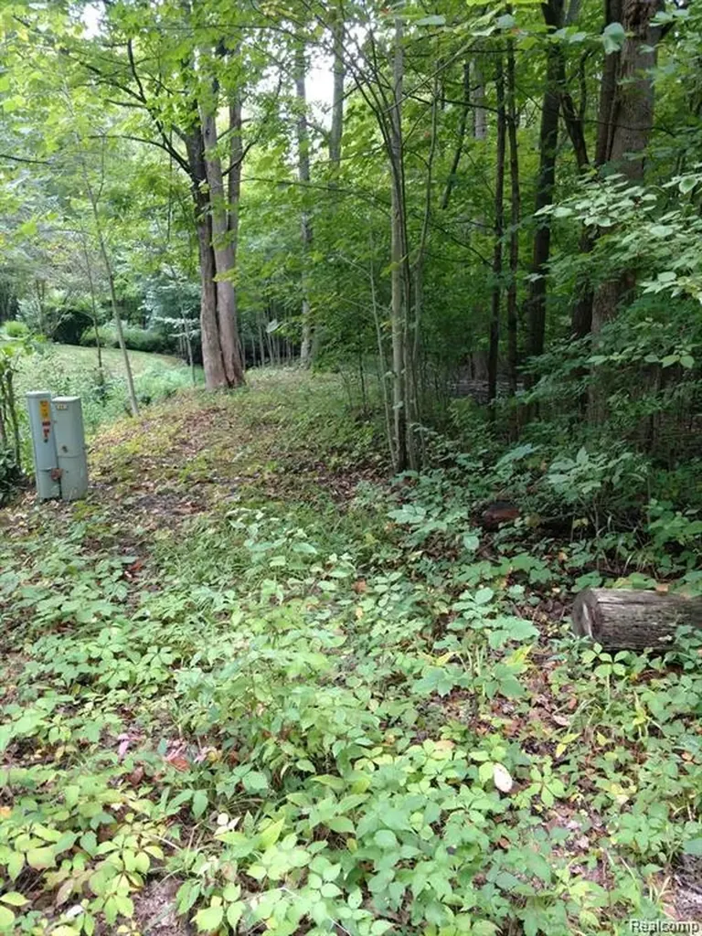 03 Joann Drive Berlin Charter Township MI 48166